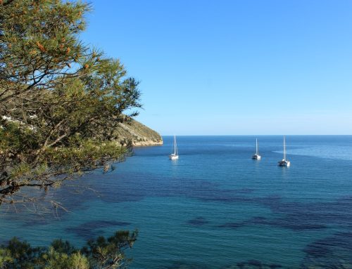 Ist die Costa Blanca der ultimative Lebensstil? Top-Regionen, Kosten und Klima