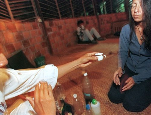 Guardia Civil durchsucht Ayahuasca-Retreat in Pedreguer: Spirituelle Freiheit oder Drogenhandel?